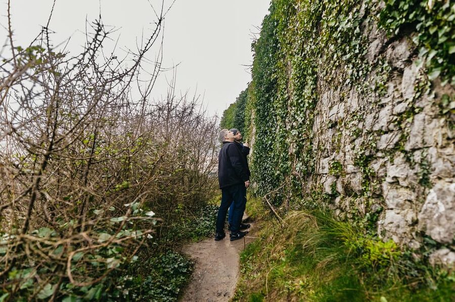 From Galway: Cliffs of Moher and The Burren Guided Day Trip - Ninety minutes at the Cliffs of Moher