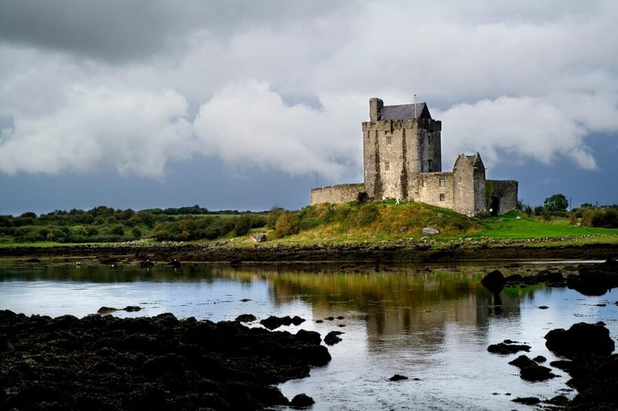 From Galway: Cliffs of Moher and The Burren Tour - The Burren’s bare stone and unexpected detail