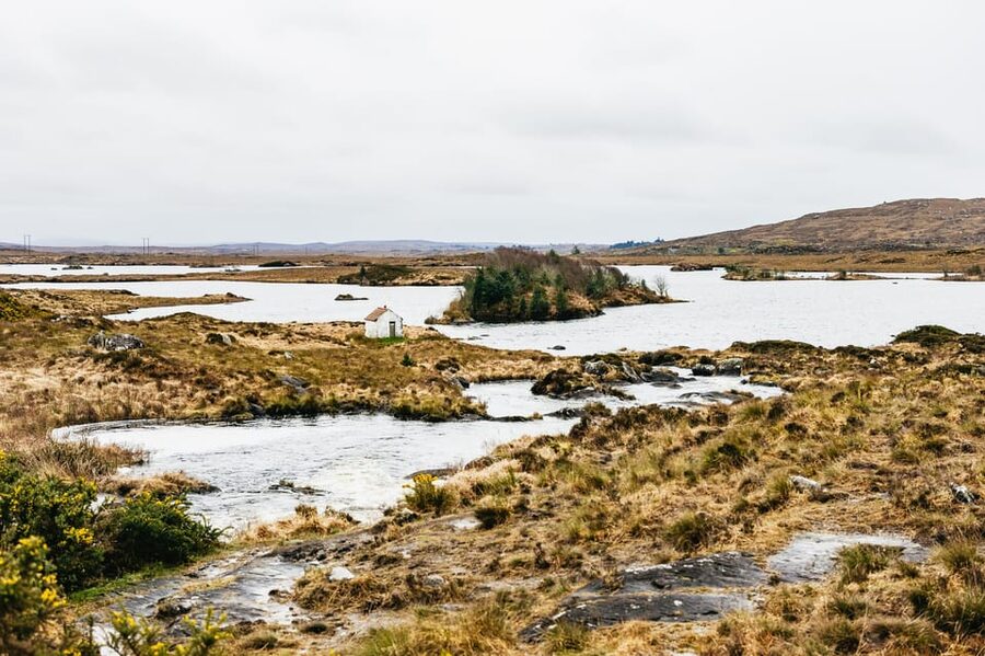 From Galway: Connemara and Connemara National Park Day Trip - Sky Road and the Atlantic Islands