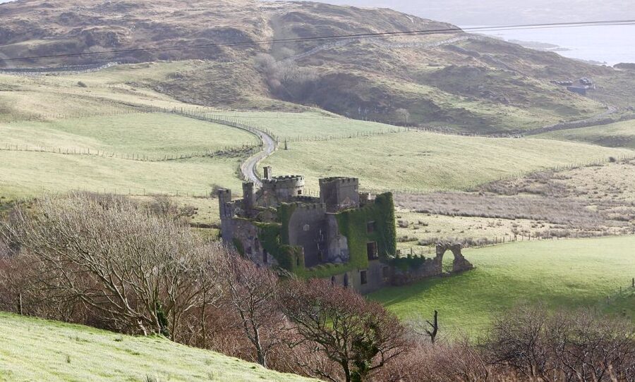From Galway: Connemara and Kylemore Abbey Day Tour - Bus comfort, timing, and small practical issues