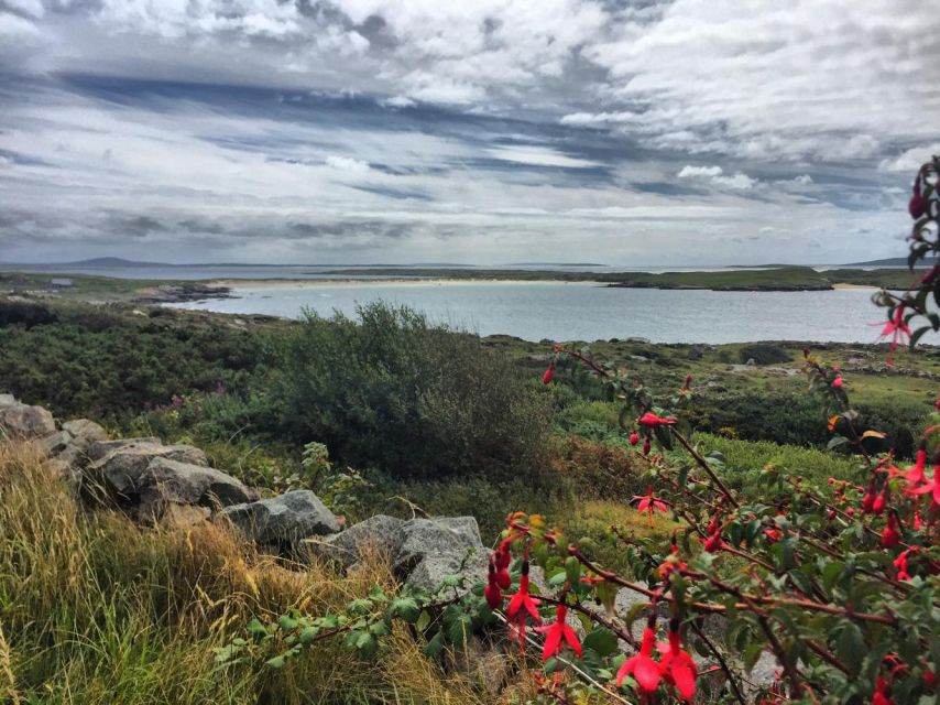 From Galway: Connemara and Kylemore Abbey Day Tour - Screebe Waterfall and the first Connemara views