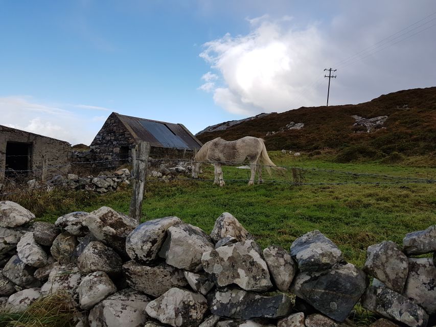From Galway: Connemara and Kylemore Abbey Day Tour - Choose Kylemore Abbey or Connemara National Park