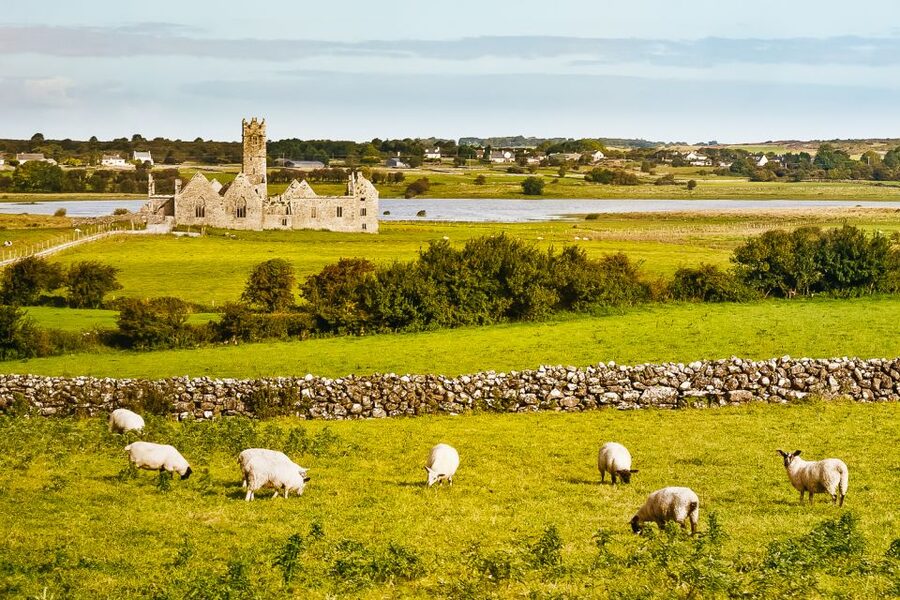 From Galway: Connemara & Kylemore Abbey Full-Day Guided Tour - Passing Connemara National Park