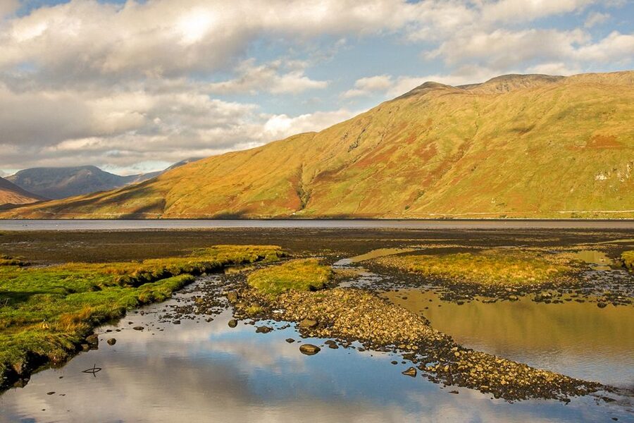 From Galway: Connemara & Kylemore Abbey Full-Day Guided Tour - How much value do you get for $57?