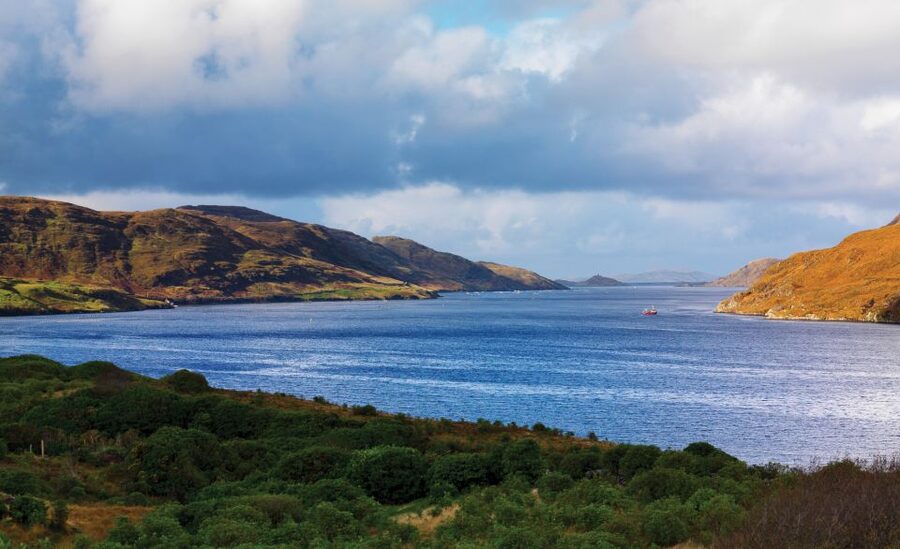 From Galway: Connemara National Park Full Day Tour - Price, flexibility, and overall value