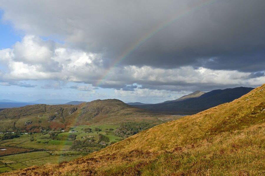 From Galway: Connemara National Park Full Day Tour - Passing Kylemore Abbey without stopping