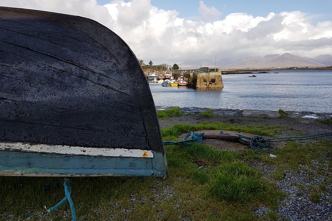 From Galway: Guided tour of Connemara with 3 hour stop at Connemara National Pk. - Lough Inagh and the Connemara Giant