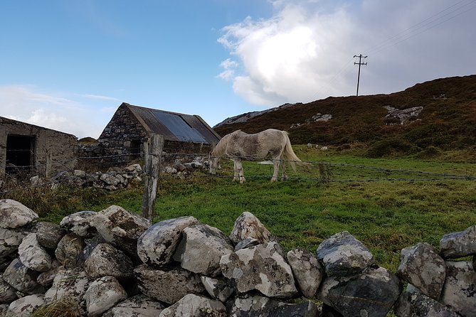 From Galway: Guided tour of Connemara with 3 hour stop in Kylemore Abbey - Connemara National Park offers walking instead of a house visit