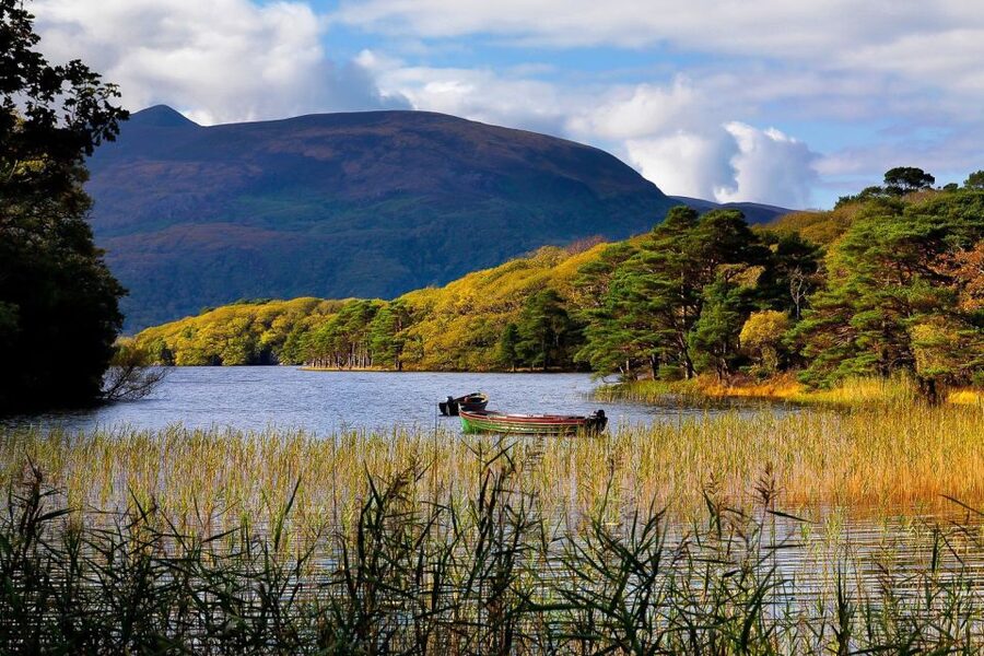 From Killarney: Ring of Kerry Full-Day Tour - Key points at a glance