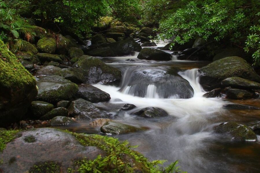 From Killarney: Ring of Kerry Full-Day Tour - Why this coach tour makes sense from Killarney
