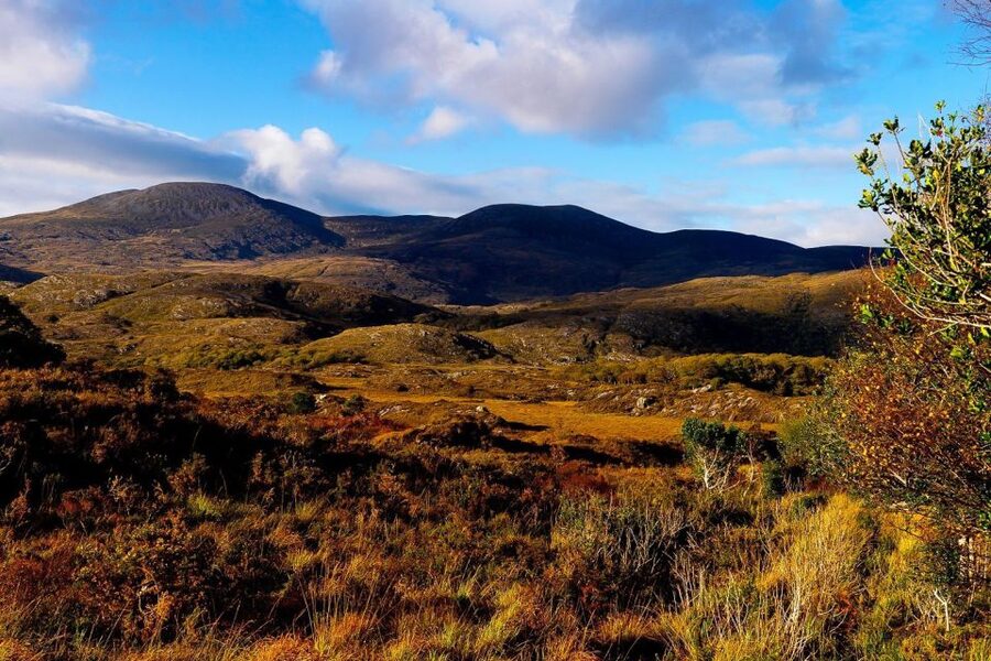 From Killarney: Ring of Kerry Full-Day Tour - What the seven-hour pace feels like