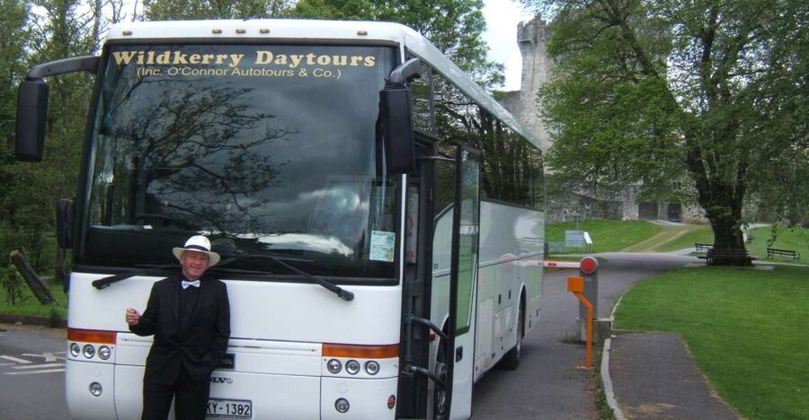 From Killarney: 'Ring of Kerry' Mountain Road 1-Day Bus Tour - Dingle Bay and the coastal road