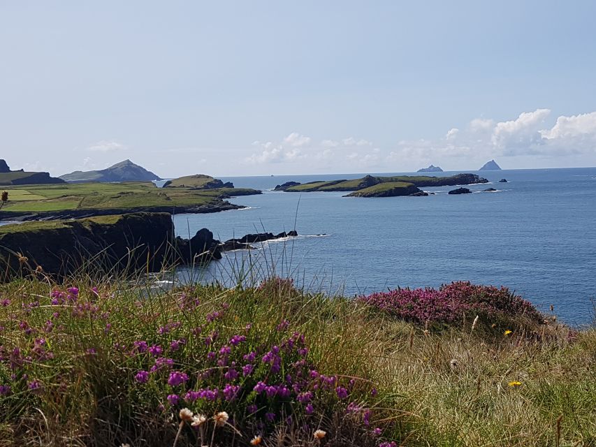From Killarney: 'Ring of Kerry' Mountain Road 1-Day Bus Tour - Group size, comfort, and the road itself