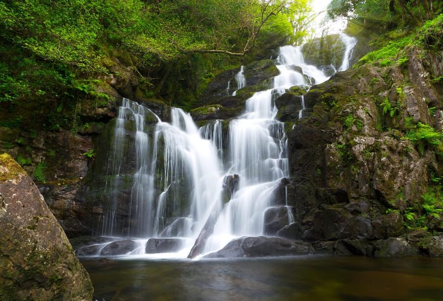 From Killarney: Ring of Kerry & Skellig Ring Full-Day Tour - The minibus trade-off: access over comfort