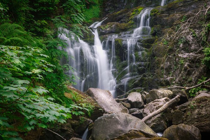 Full-Day Private Historical Tour at Ring of Kerry - Three hours among Killarney’s classic sights