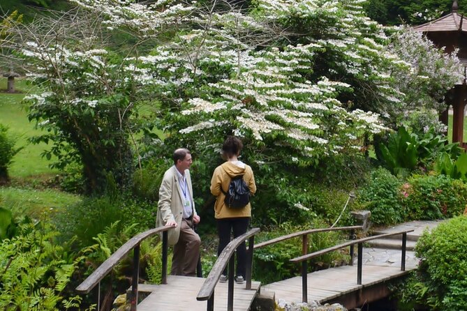 Full Day Private Wicklow Tour - Who should book this tour