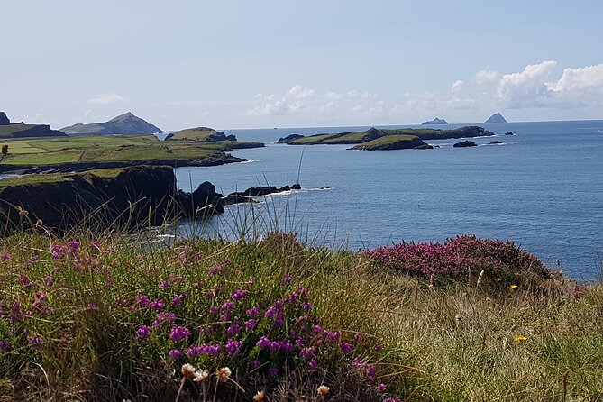 Full-Day Ring of Kerry Tour from Killarney - Ladies’ View, a short stop with a famous payoff
