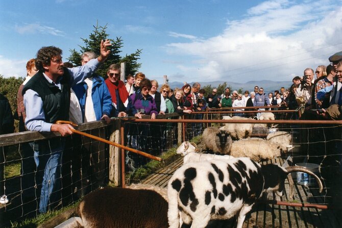 Full-Day Ring of Kerry Tour from Killarney - Sneem and the pleasures of a village break