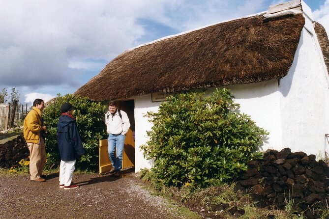 Full-Day Ring of Kerry Tour from Killarney - Molls Gap and Coomakista Pass