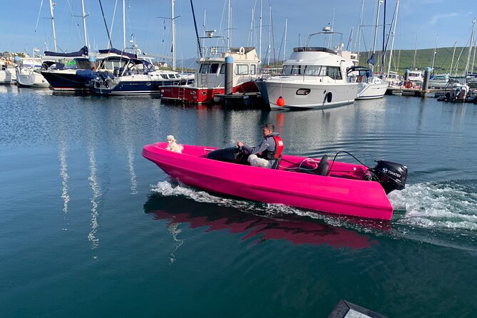 Funky Pink Self Drive Boats - Who should book this Dingle activity?