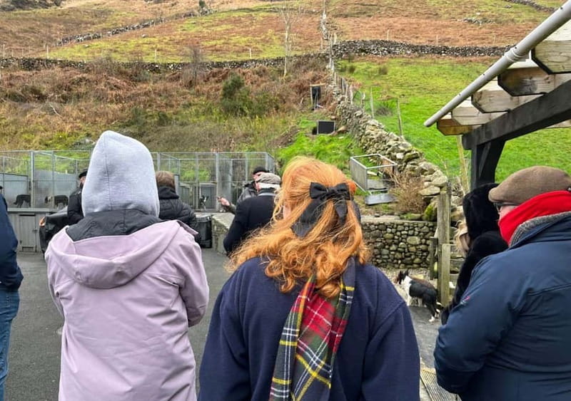 Galway: Connemara, Sheepdog Show and Medieval Castle Tour - What value you get from the day