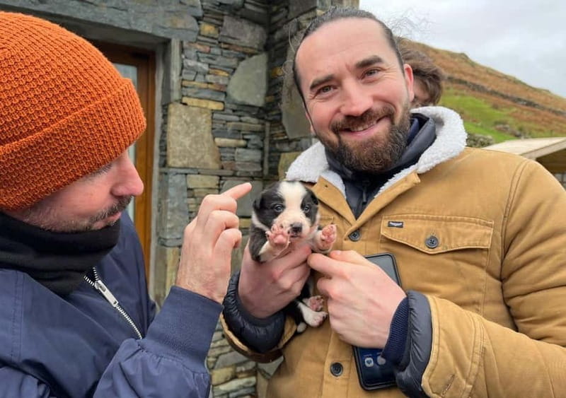 Galway: Connemara, Sheepdog Show and Medieval Castle Tour - Why this Connemara day trip works