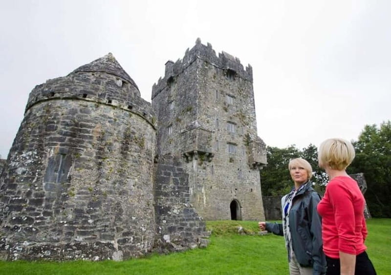 Galway: Connemara, Sheepdog Show and Medieval Castle Tour - The sheepdog demonstration with Joe