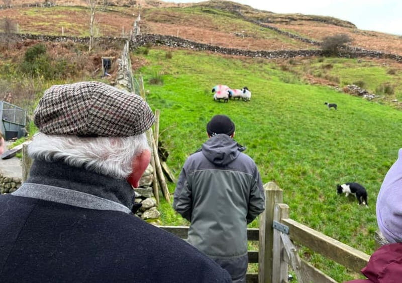 Galway: Connemara, Sheepdog Show and Medieval Castle Tour - Cong Abbey and a slower final stop