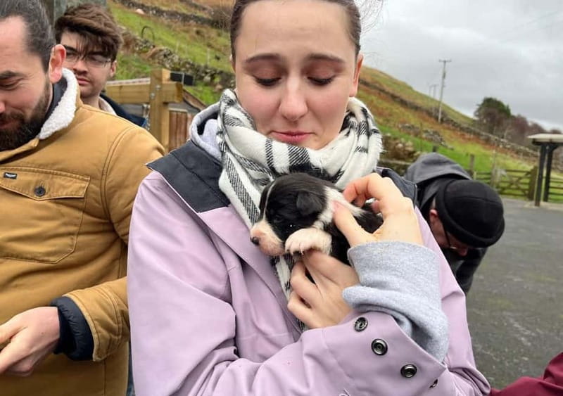 Galway: Connemara, Sheepdog Show and Medieval Castle Tour - The guide makes the long drive worthwhile