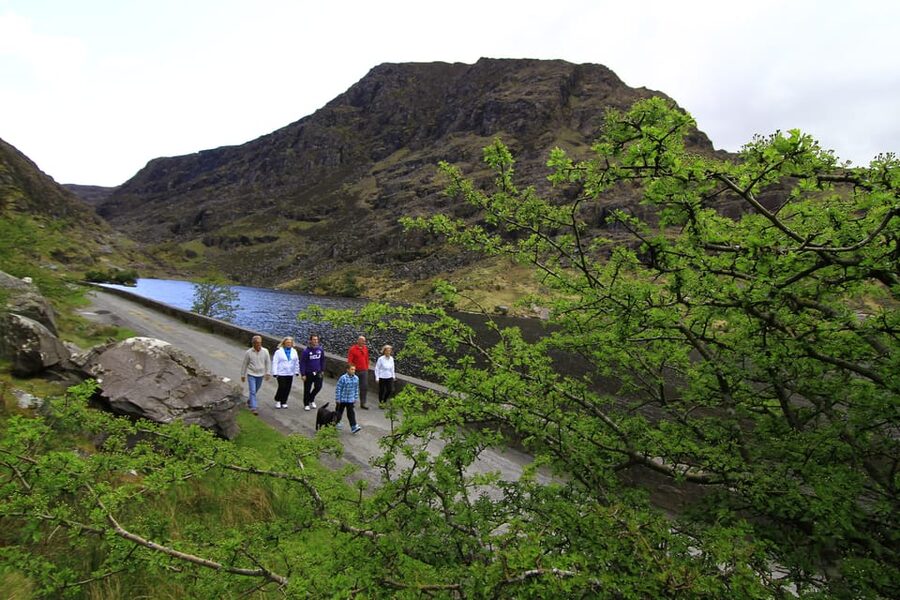 Gap of Dunloe & Lakes of Killlarney Boat Tour - Key points to know before you book