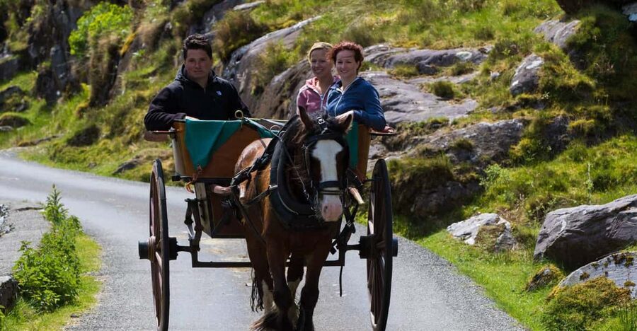 Gap of Dunloe & Lakes of Killlarney Boat Tour - Jaunting carts and the traditional alternative