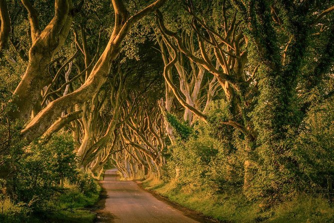 Giant Causeway, Dark Hedges & Whiskey Distillery tour from Dublin - Giant’s Causeway, the main event of the morning