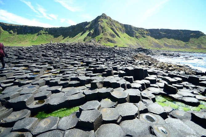 Giant's Causeway, Dark of Hedges & Belfast Day Tour From Dublin - The Dark Hedges: beautiful, brief, and easy to overrate
