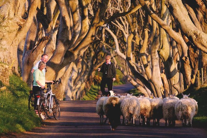 Giant's Causeway Day Tour from Dublin - Belfast in one hour