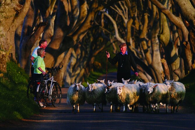 Giant's Causeway with the Titanic Exhibition and the best of Northern Ireland - What to bring, and who should skip it