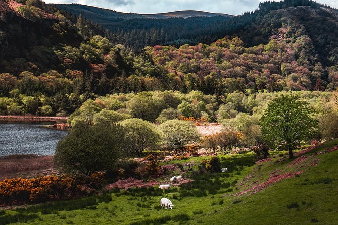 Glendalough Day Tour from Dublin: Including Kilkenny City - Weather, clothing, and walking advice