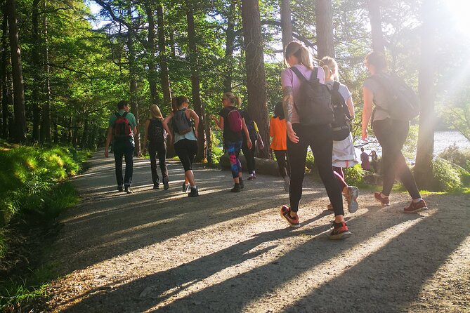 Glendalough Night Hike and History Tour - What the $44.12 price gives you