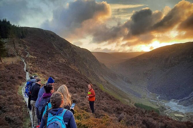 Glendalough Night Hike and History Tour - Looking for Sika deer at the edge of evening