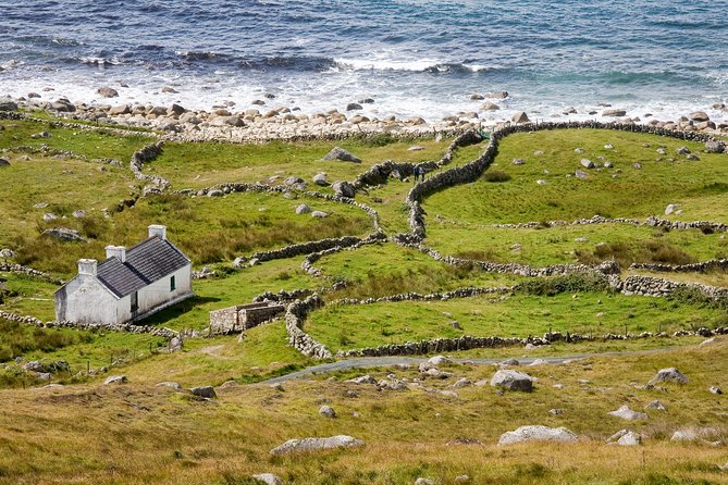 Glenveagh National Park and Gaeltacht Tour - Errigal and the village of Dunlewey