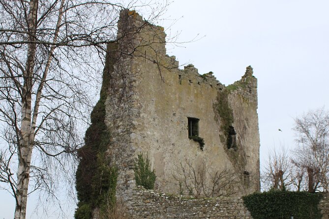 Guided eBike Tour - Killaloe and the Lough Derg Shore - The ride beside Lough Derg and the Slieve Bearnagh Mountains