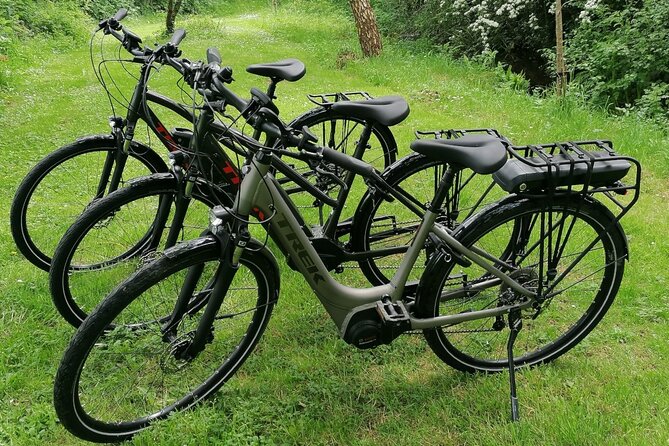 Guided eBike Tour - Killaloe and the Lough Derg Shore - What the private format changes