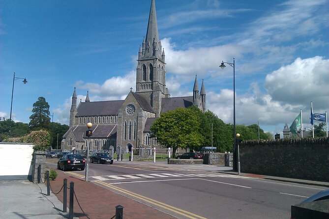 Guided Killarney National Park Walking Tour - Deer, birds, cattle, and realistic wildlife hopes