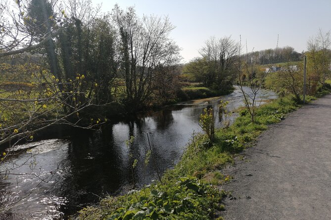 Guided Walking Tour in stunning county Waterford Ireland - New Bridge and the town’s prehistoric past