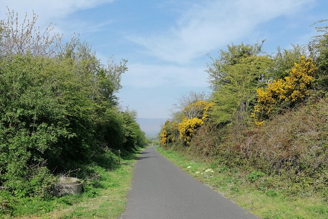 Guided Walking Tour in stunning county Waterford Ireland - The paupers’ gravesite and its limits