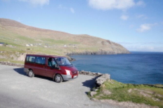 Half Day Private Tour to Dingle Peninsula and Slea Head - Ogham stones at Burnham West