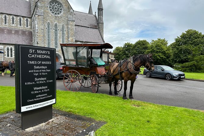 Horse-Drawn Carriage Tours in Killarney - A relaxed start near St Mary’s Cathedral