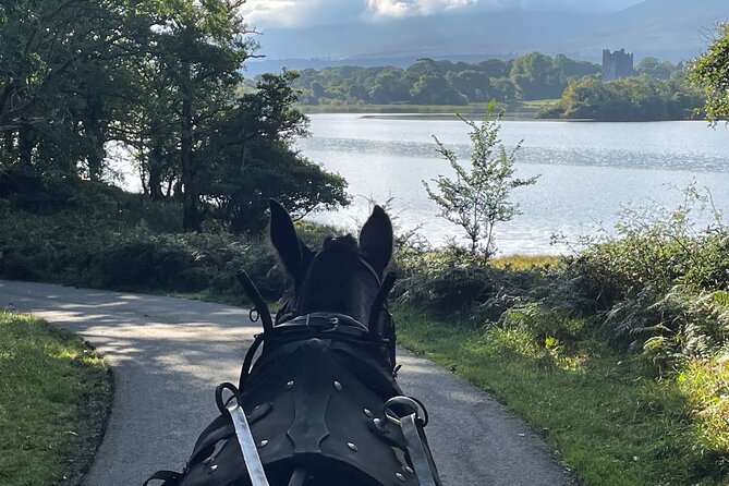 Horse-Drawn Carriage Tours in Killarney - Ross Castle and the 10-minute photo stop