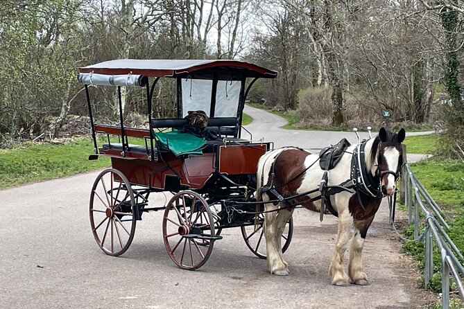 Horse-Drawn Carriage Tours in Killarney - What happens in wet weather