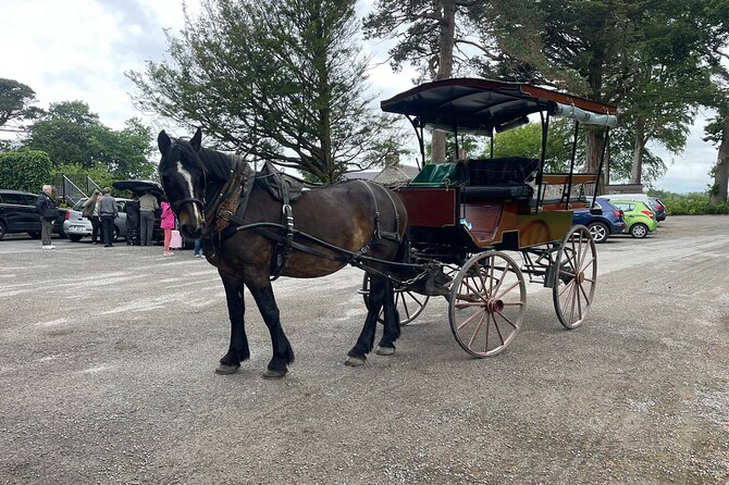 Horse-Drawn Carriage Tours in Killarney - Is $48.06 per person good value?