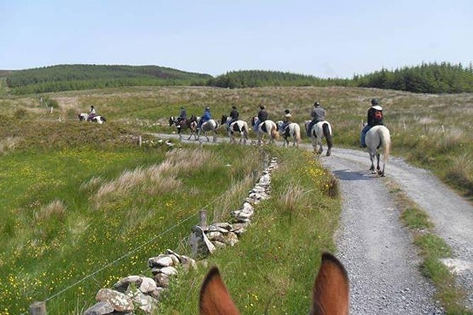 Horse riding - Burren Trail. Lisdoonvarna, Co Clare. Guided. 3 hours. - Riding into the Burren from Mountain View